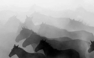 经典新闻作品赏析，经典的新闻作品