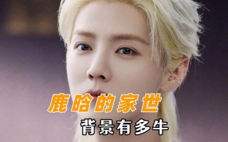 为什么说鹿晗是大数据（鹿晗为什么被网友喷）