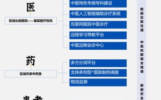 中医人工智能诊疗系统 - 中医人工智能诊疗系统缺点