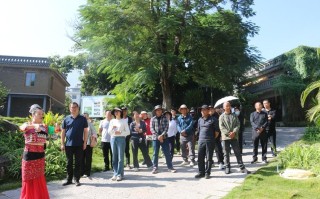 镇沅电视台新闻 - 镇沅电视台直播