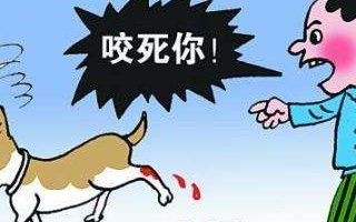 人咬狗才是新闻（人咬狗才是新闻是谁说的）