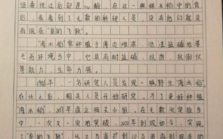 新闻评价怎么写，新闻评价怎么写2024年2月的