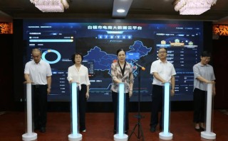 国家大数据委员会主任（国家大数据局局长）