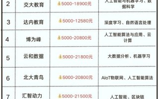 人工智能需要培训什么（人工智能培训要学什么）