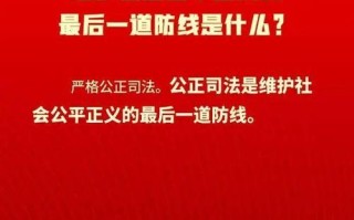 大数据协同办案平台 - 大数据协同办案平台整改报告