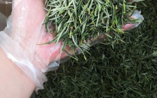 缙云电视台缙云新闻，缙云频道