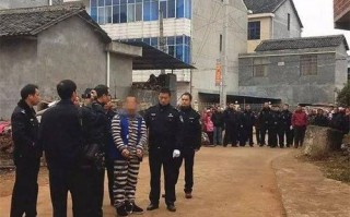 茶陵命案最新新闻（茶陵命案最新新闻2023年）