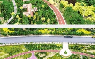 武清新闻最新消息（武清新闻最新消息2021）