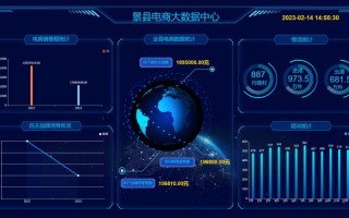 大数据营销与智能商务 - 大数据与商业智能