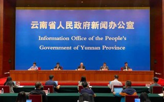 中国新闻发展有限责任公司（中国新闻发展有限责任公司云南分公司）