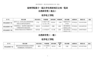 人工智能大学生项目，人工智能大学生项目实践报告