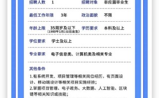 大数据局招聘（大数据局招聘数学专业）