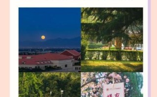 人工智能去哪个城市 - 人工智能哪里好