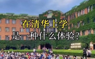 荧光夜跑活动新闻稿（荧光夜跑活动标语）