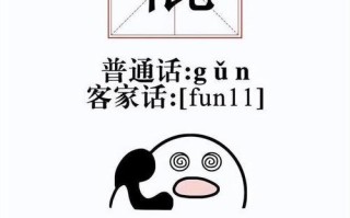 桐城新闻联播在线播放，桐城新闻联播在线播放今天