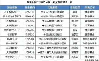 华宝中证人工智能ETF - 华夏中证人工智能主题etf联接c