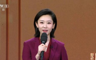 央视新闻播音员，央视新闻播音员文静