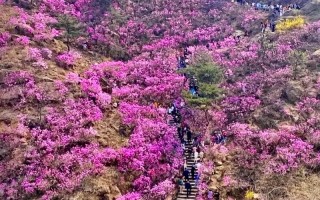 人工智能体验官研学 - 人工智能体验中心