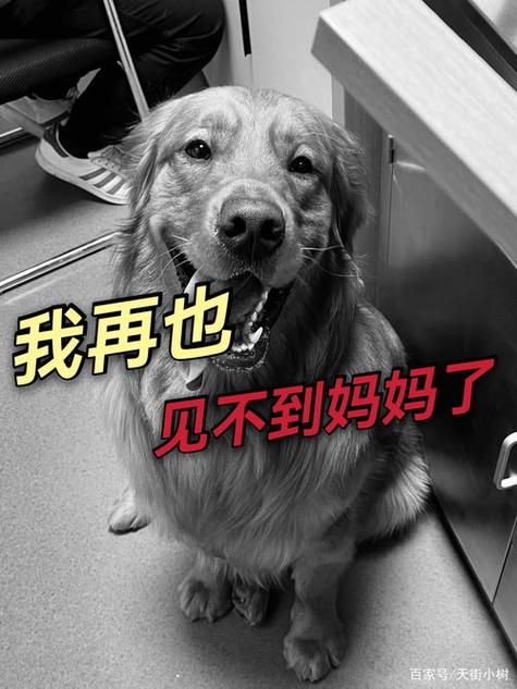 陈乔恩最新动态新闻(陈乔恩最新消息)-第2张图片-华田资讯 陈乔恩最新动态新闻(陈乔恩最新消息)-第2张图片-华田资讯