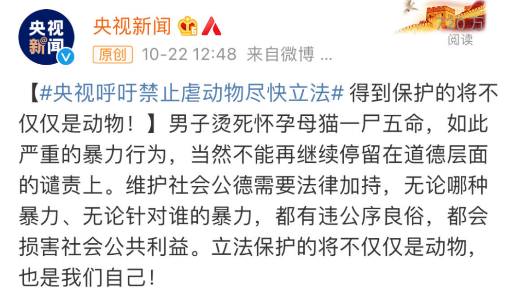 陈乔恩最新动态新闻(陈乔恩最新消息)-第3张图片-华田资讯 陈乔恩最新动态新闻(陈乔恩最新消息)-第3张图片-华田资讯