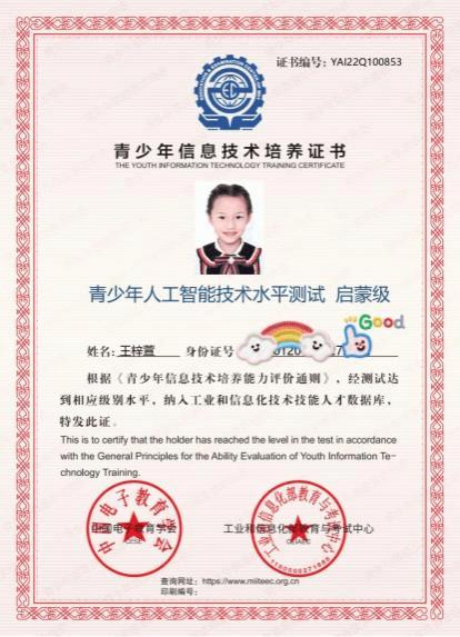 青少年人工智能技术水平测试 - 青少年人工智能技术水平测试含金量-第2张图片-华田资讯 青少年人工智能技术水平测试 - 青少年人工智能技术水平测试含金量-第2张图片-华田资讯