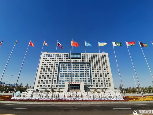青岛新闻网手机版官方网站 - 青岛新闻网客户端-第3张图片-华田资讯 青岛新闻网手机版官方网站 - 青岛新闻网客户端-第3张图片-华田资讯