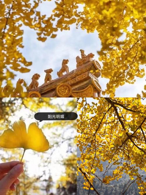 看看南雄最近的新闻 - 南雄市视频新闻-第4张图片-华田资讯 看看南雄最近的新闻 - 南雄市视频新闻-第4张图片-华田资讯
