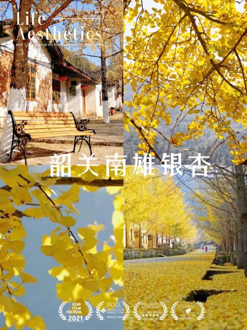 看看南雄最近的新闻 - 南雄市视频新闻-第6张图片-华田资讯 看看南雄最近的新闻 - 南雄市视频新闻-第6张图片-华田资讯