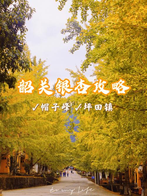 看看南雄最近的新闻 - 南雄市视频新闻-第7张图片-华田资讯 看看南雄最近的新闻 - 南雄市视频新闻-第7张图片-华田资讯