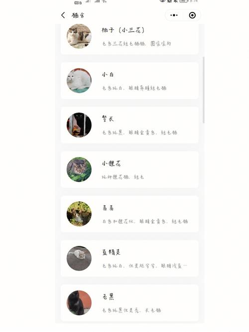 区块链小程序,区块链小程序分类-第3张图片-华田资讯 区块链小程序,区块链小程序分类-第3张图片-华田资讯