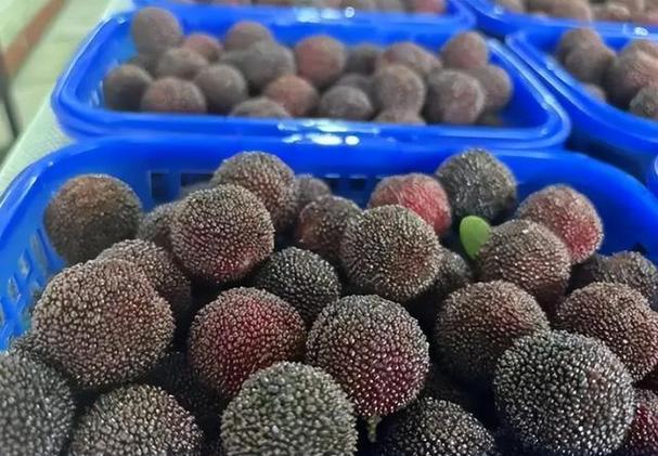 最近关于杨梅的新闻(最近关于杨梅的新闻有哪些)-第1张图片-华田资讯 最近关于杨梅的新闻(最近关于杨梅的新闻有哪些)-第1张图片-华田资讯