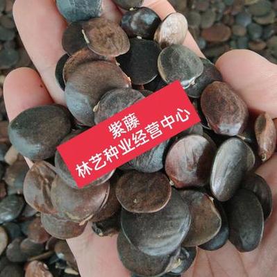 最近关于杨梅的新闻(最近关于杨梅的新闻有哪些)-第3张图片-华田资讯 最近关于杨梅的新闻(最近关于杨梅的新闻有哪些)-第3张图片-华田资讯
