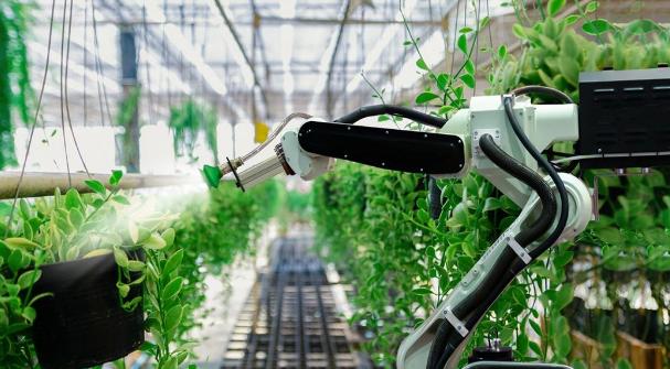 人工智能在农业领域的应用,人工智能在农业领域的应用图片-第3张图片-华田资讯 人工智能在农业领域的应用,人工智能在农业领域的应用图片-第3张图片-华田资讯