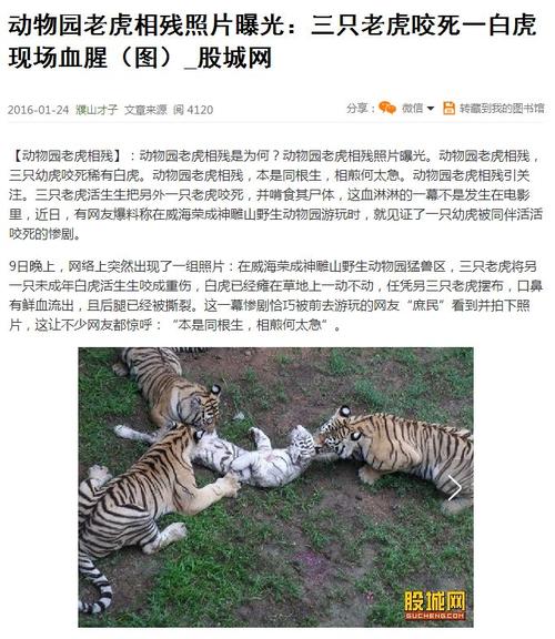 镇坪新闻今天的(今天镇平新闻)-第1张图片-华田资讯 镇坪新闻今天的(今天镇平新闻)-第1张图片-华田资讯