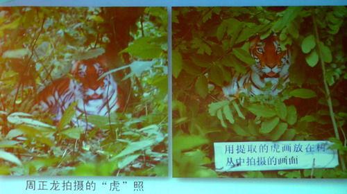 镇坪新闻今天的(今天镇平新闻)-第4张图片-华田资讯 镇坪新闻今天的(今天镇平新闻)-第4张图片-华田资讯