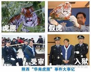 镇坪新闻今天的(今天镇平新闻)-第5张图片-华田资讯 镇坪新闻今天的(今天镇平新闻)-第5张图片-华田资讯