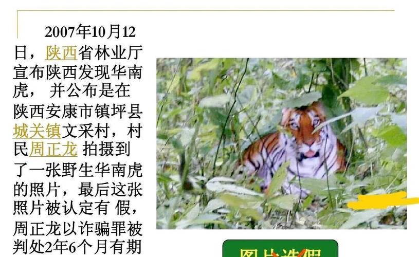 镇坪新闻今天的(今天镇平新闻)-第6张图片-华田资讯 镇坪新闻今天的(今天镇平新闻)-第6张图片-华田资讯