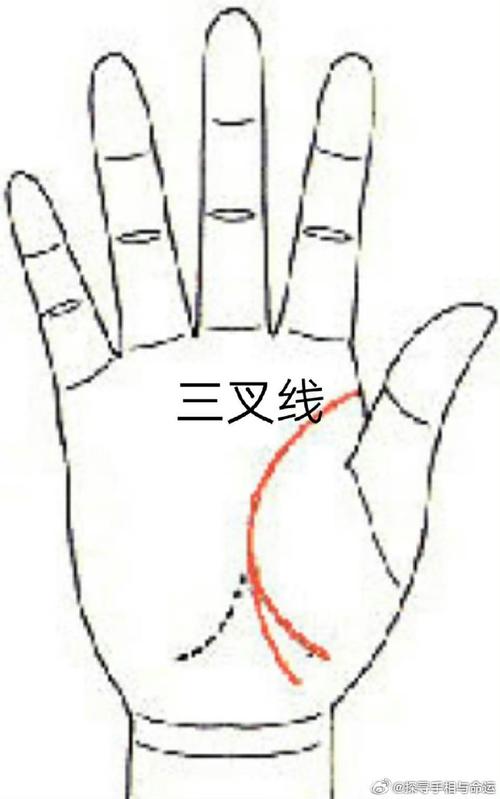 区块链分叉是什么意思,区块链分叉是什么意思啊-第3张图片-华田资讯 区块链分叉是什么意思,区块链分叉是什么意思啊-第3张图片-华田资讯