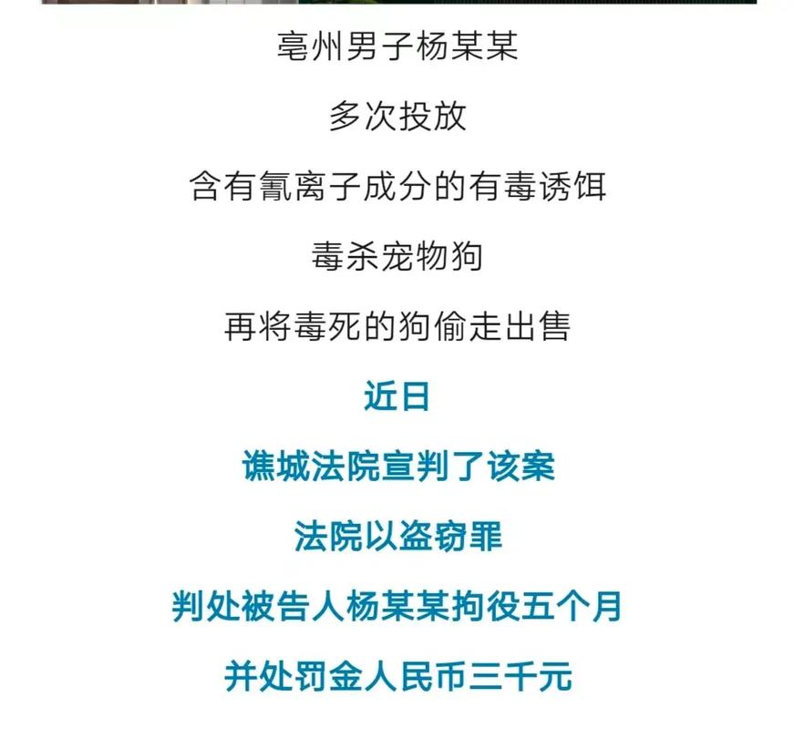 江西乐安昨天的新闻,江西乐安新闻最新-第3张图片-华田资讯 江西乐安昨天的新闻,江西乐安新闻最新-第3张图片-华田资讯