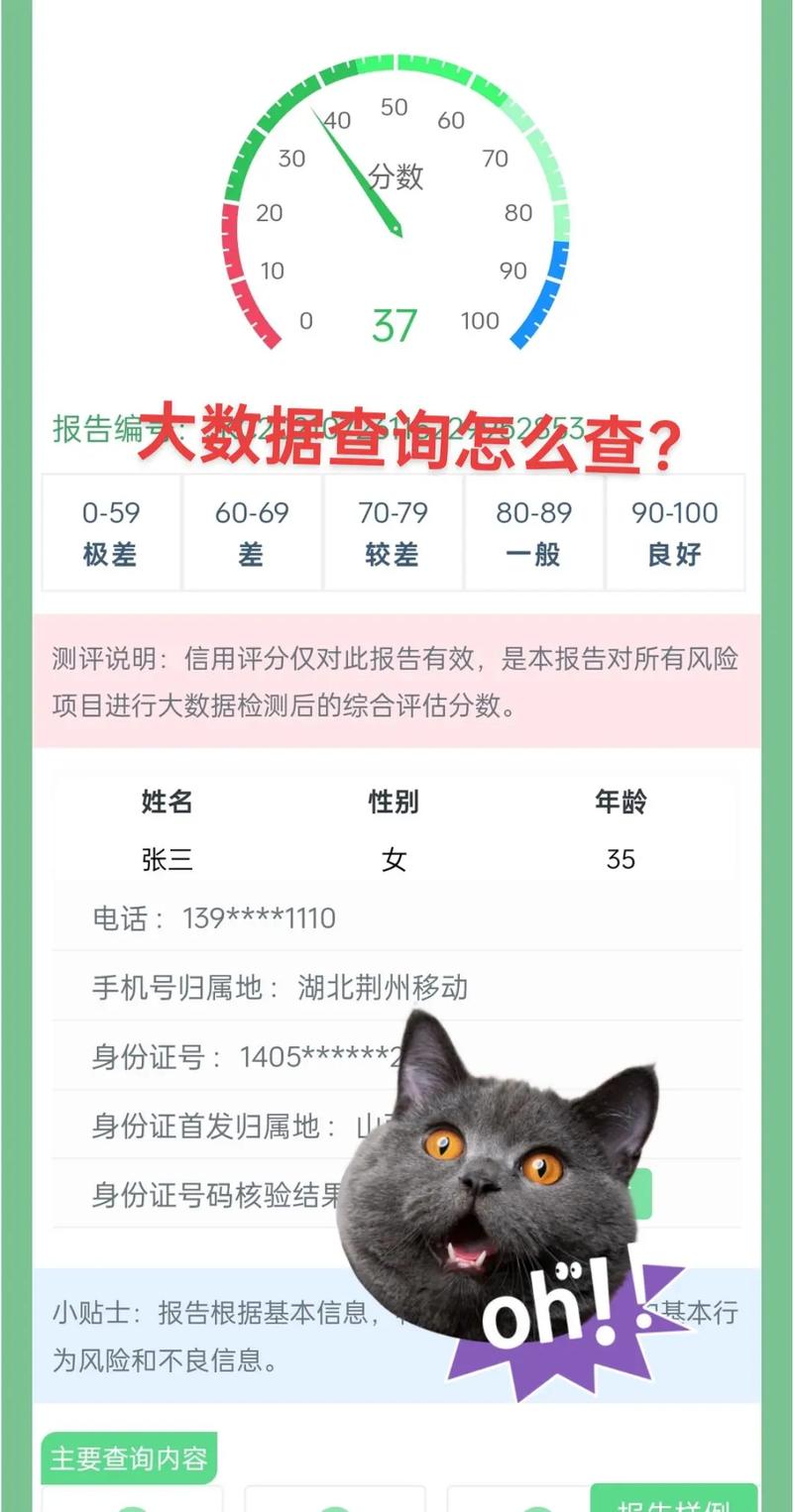 怎么看大数据,怎么看大数据评分-第2张图片-华田资讯 怎么看大数据,怎么看大数据评分-第2张图片-华田资讯