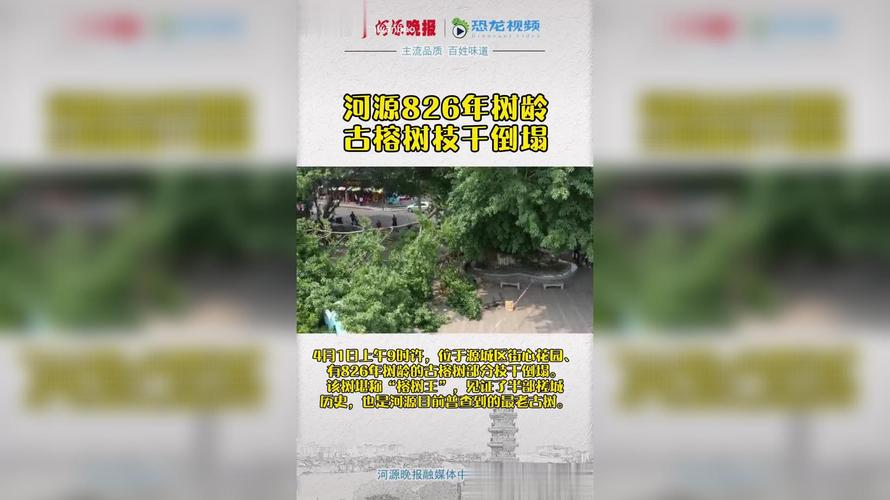 河源新闻大件事,河源新闻大件事件始末-第1张图片-华田资讯 河源新闻大件事,河源新闻大件事件始末-第1张图片-华田资讯