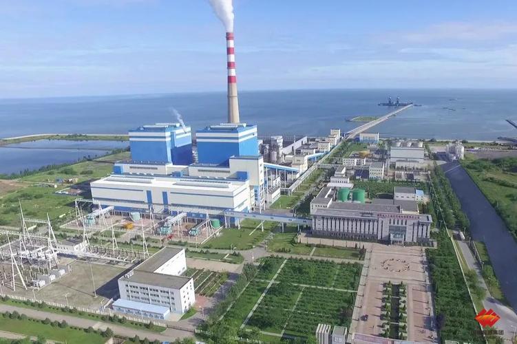 庄河新闻最新消息,庄河2021年视频新闻-第5张图片-华田资讯 庄河新闻最新消息,庄河2021年视频新闻-第5张图片-华田资讯