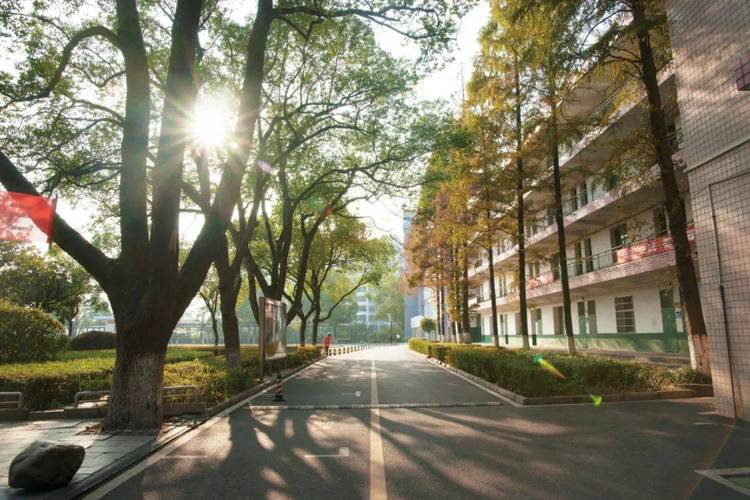 株洲人工智能职业技术学校 - 株洲人工智能职业技术学校有限公司-第6张图片-华田资讯 株洲人工智能职业技术学校 - 株洲人工智能职业技术学校有限公司-第6张图片-华田资讯
