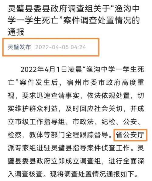 灵璧新闻最新消息(灵璧新闻最新消息省公安厅)-第6张图片-华田资讯 灵璧新闻最新消息(灵璧新闻最新消息省公安厅)-第6张图片-华田资讯