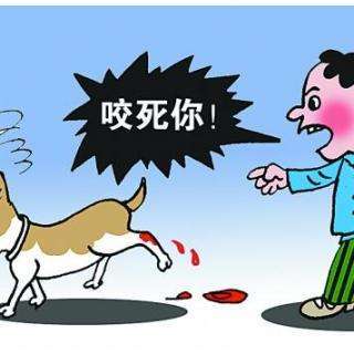 人咬狗才是新闻(人咬狗才是新闻是谁说的)-第1张图片-华田资讯 人咬狗才是新闻(人咬狗才是新闻是谁说的)-第1张图片-华田资讯