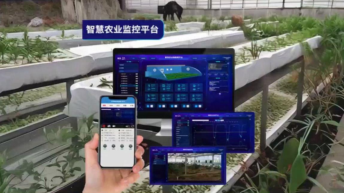 智慧农业大数据平台,智慧农业大数据平台建设方案-第4张图片-华田资讯 智慧农业大数据平台,智慧农业大数据平台建设方案-第4张图片-华田资讯
