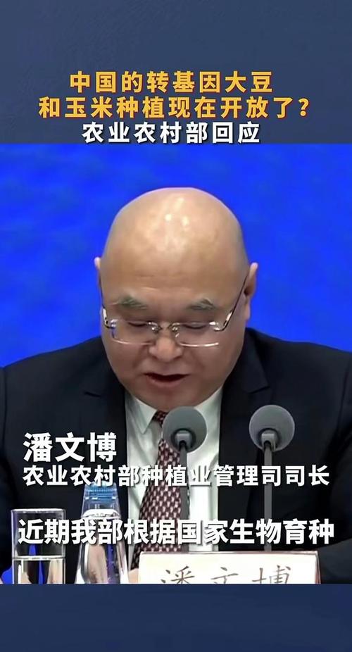 沙洋新闻头条今日 - 沙洋最新新闻-第1张图片-华田资讯 沙洋新闻头条今日 - 沙洋最新新闻-第1张图片-华田资讯