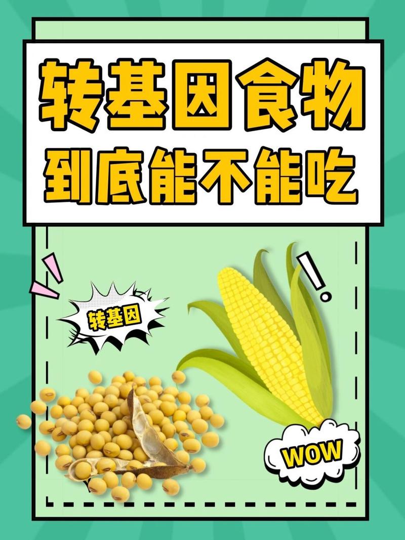 沙洋新闻头条今日 - 沙洋最新新闻-第4张图片-华田资讯 沙洋新闻头条今日 - 沙洋最新新闻-第4张图片-华田资讯