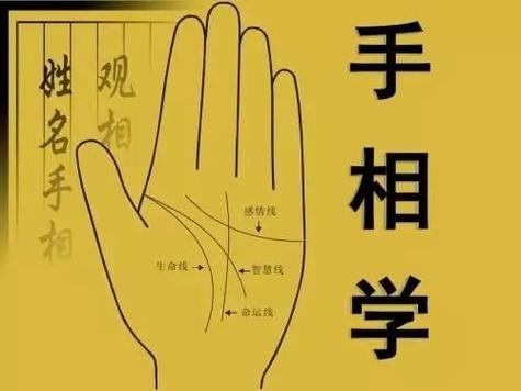 免费人工智能测手相 - 免费人工智能测手相下载-第4张图片-华田资讯 免费人工智能测手相 - 免费人工智能测手相下载-第4张图片-华田资讯