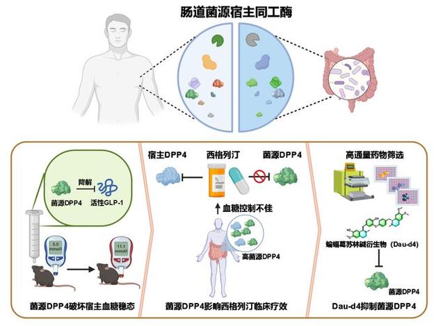 区块链在医疗领域的应用(区块链在医疗领域的应用具体案例)-第2张图片-华田资讯 区块链在医疗领域的应用(区块链在医疗领域的应用具体案例)-第2张图片-华田资讯